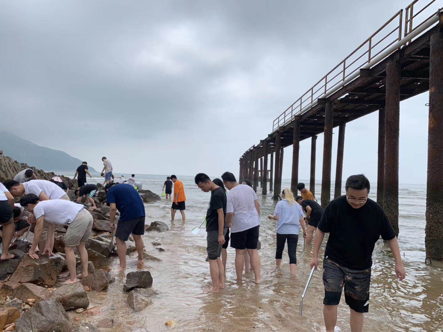杉果伙伴参加海岸净滩公益行动